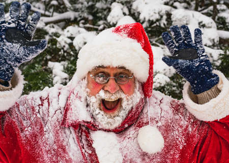 Happy senior man in traditional red Santa Claus costume standing near snow-covered tree branches, looking at the camera and laughing.の写真素材