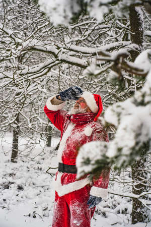 Happy senior man in traditional red Santa Claus costume looking at the snow on the tree branches.の写真素材