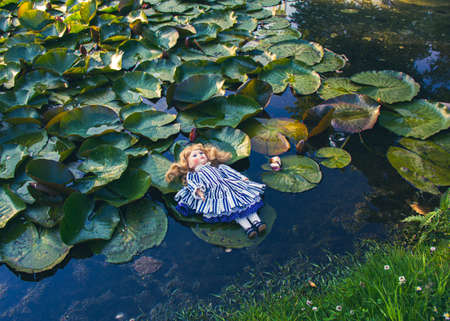 Beautiful old doll girl lost by a child and floating in the dark water of a lake or pond, top view.の写真素材