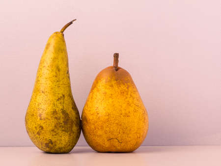 Two figures of juicy biologic yellow pears, as a woman and a man. The concept of a healthy lifestyle together.の写真素材