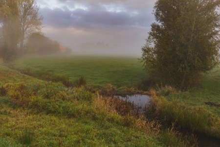 Autumn polder foggy landscape of Frisland, Netherland, Europe.の写真素材