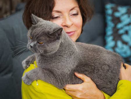 Woman in yellow clothing holding her lovely Senior British Shorthair cat with yellow eyes. Friend of human. animal lover. Close up, selective focus.の写真素材