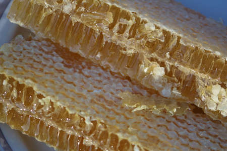 Sliced ââgolden yellow pieces of delicious fragrant honey in honeycombs close-up.の写真素材
