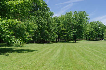 summer park