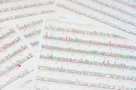 DNA sequencing results print-out