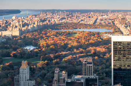 New York City skyline and the Central Parkの写真素材