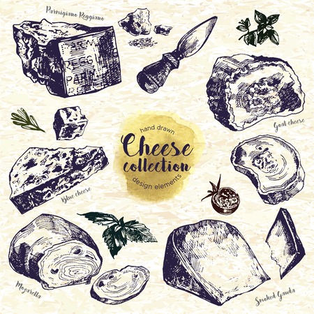 Hand Drawn Cheese Set. Including goat cheese, mozzarella, smoked gouda, blue cheese, parmesan, cheese knife and spices. Ink illustration in vintage style.のイラスト素材