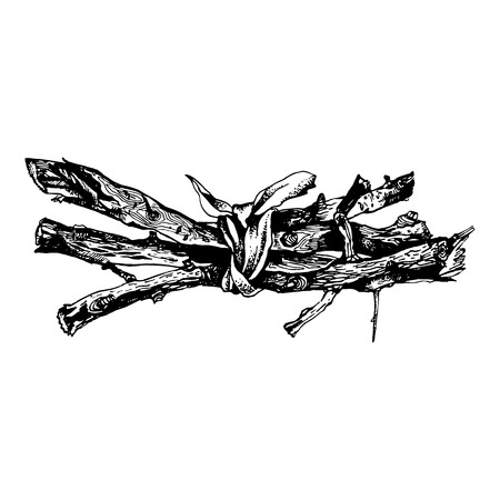 Hand drawn set of dry tree branches. Highly detailed ink art in engraved styleのイラスト素材