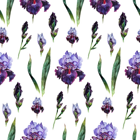 Hand drawn watercolor iris flowers and leaves seamless pattern on white background. Realistic illustration in trendy vintage styleのイラスト素材