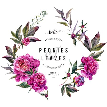 Watercolor Floral Card with Fuchsia Peonies, Shepherd's Purse and Foliage. Botanical Illustration in Vintage Style. Wedding Decoration Isolated on White.のイラスト素材