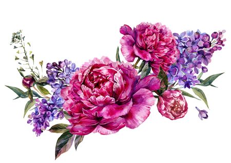 Watercolor Floral Decoration made of Fuchsia Peonies, Lilac and Foliage. Botanical Illustration in Vintage Style. Wedding Decoration Isolated on White.のイラスト素材