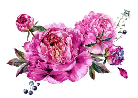 Watercolor Floral Decoration made of Fuchsia Peonies, Buds and Foliage. Botanical Illustration in Vintage Style. Wedding Decoration Isolated on White.のイラスト素材