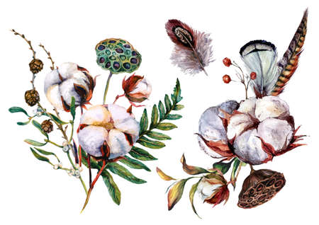 Watercolor Botanical Illustration of Cotton Decorations. Rustic Boho Style Wedding Arrangements Isolated on White. Hand Drawn Bouquet of Cotton Bolls, Fern, and Feathers in Scandinavian Style.のイラスト素材