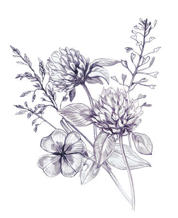 Pencil Sketch Wildflowers Bouquet. Hand Drawn Clover, Greenery, Spring Flowers Arrangement Isolated on White. Botanical Illustration of Summer Meadow Flowers in Vintage Style. Rustic Floral Clipart.の写真素材