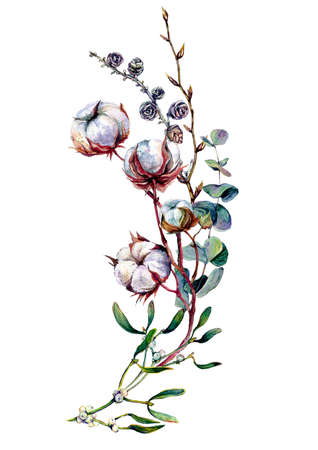 Watercolor Floral Decoration made of Cotton Plant, Eucalyptus Greenery, Larch Twigs and Mistletoe Isolated on White. Boho Style Arrangement. Botanical Vintage Wedding Decor. Scandinavian Nature Designの写真素材
