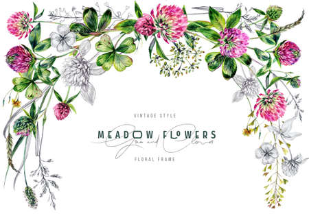 Watercolor Floral Frame made of Wildflowers, Clover Flowers and Leaves, Greenery, Meadow Grass Isolated on White. Spring Botanical Card Design in Vintage Style. Rustic Wedding Arrangement Invitation.の写真素材