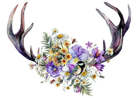 Hand Drawn Watercolor Floral Decoration Isolated on White. Spring Flowers and Antlers Arrangement in Vintage Style. Wildflower Design. Pansies, Primrose Spring Bouquet.の写真素材