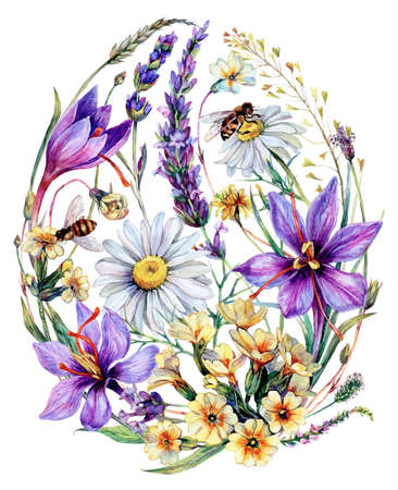 Hand Drawn Watercolor Floral Decoration Isolated on White. Spring Flowers Arrangement in Vintage Style. Wildflower Design. Floral Easter Egg Card.の写真素材