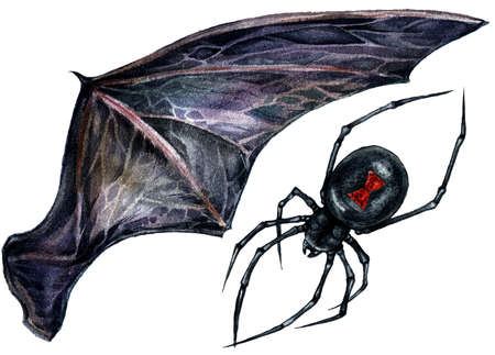 Watercolor Illustration of Black Widow Spider and Web Isolated on White Background. Hand Drawn Dark Gothic Wedding Decoration. Halloween Botanical Illustration in Vintage Style.の写真素材