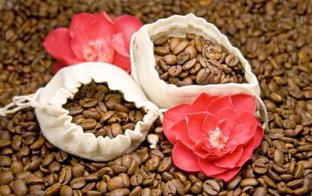 Coffeeの写真素材