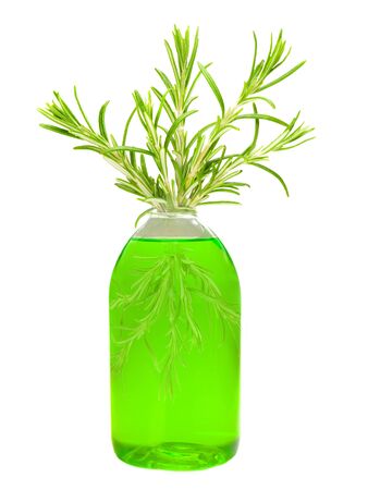 Green bottle with rosemaryの写真素材