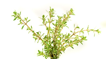 Fresh Herbsの写真素材
