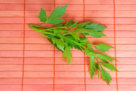 Fresh Lovageの写真素材