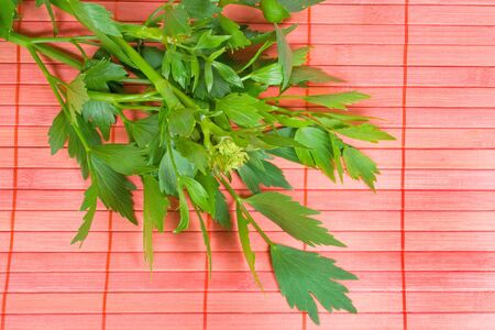 Lovageの写真素材