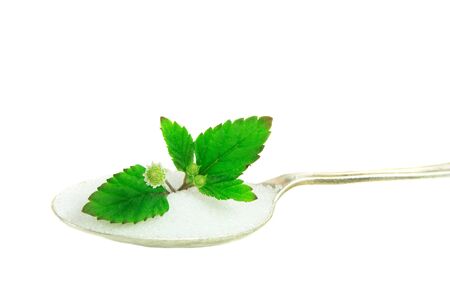 Aztec Sweet Herb for substitute sugarの写真素材