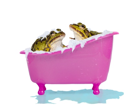 Fun image of two cute pet frogs enjoying a soapy bubblebath in a bright pink bathtub with overflowing water isolated on whiteの写真素材