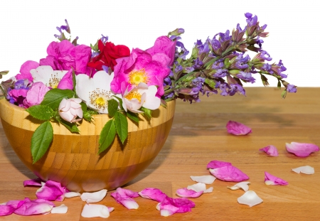 Wooden bowl filled with pink and white dog roses, or Rosa canina which is rich in antioxidants and vitamin c, and blue sage flowers, a cooking ingredient with antibacterial propertiesの写真素材