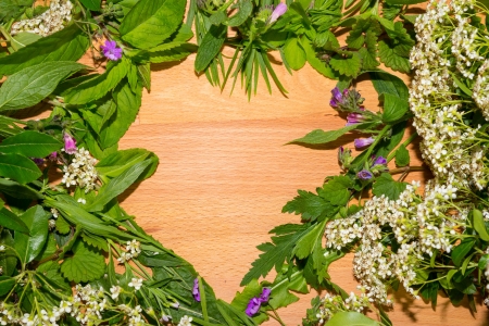 Border of mixed leaves of fresh green herbs used in alternative medicine and as cooking ingredients with a wood texture central copyspaceの写真素材