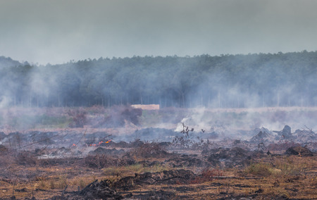 wildfire and smokeの写真素材