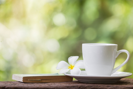 coffee cup book and flower on table with green forest backgroundの写真素材