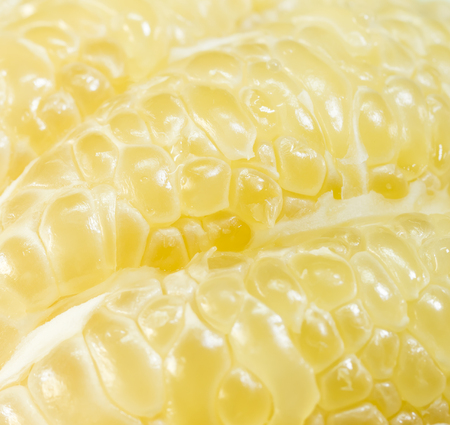 close up pomelo or grapefruit and drop on surfaceの写真素材