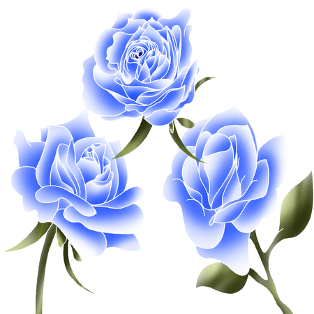 Colorful sweet clothing fabric printingの写真素材