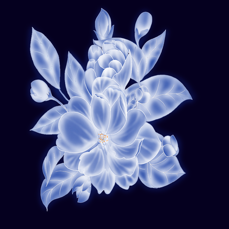 White transparent clothing fabric printingの写真素材