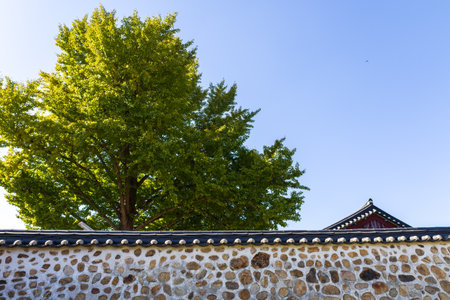 Korean traditional architecture in south korea, Palaceの写真素材