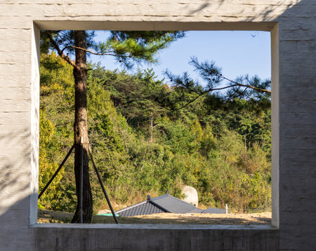 View from the window of a house in the countryside of southern Franceの写真素材