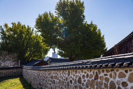 Scenery of the Korean traditional architecture in Palaceの写真素材