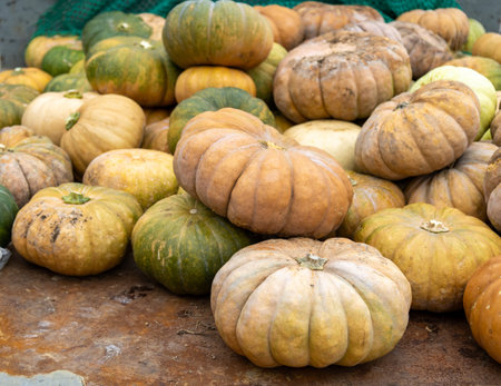 Pumpkins on display at a farmers market in koreaの写真素材