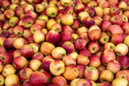 Red apples background. Close up of heap of fresh red apples.の写真素材
