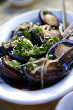 mussels on the plateの素材