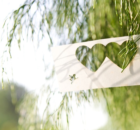 Love in in the airの写真素材