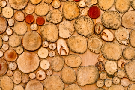 Log background