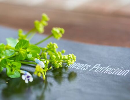 Flora background - flowers on top of magazineの写真素材