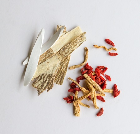 Chinese herbs ingredients for herbal soupの写真素材