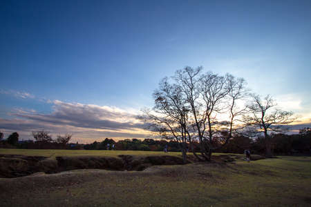 Park at Nara Kyoto during blue hourの写真素材