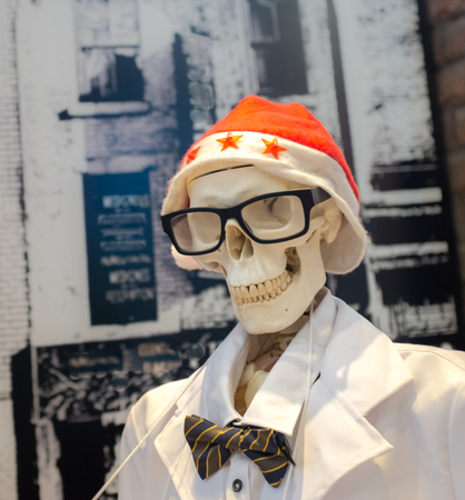 Skeleton dressed up for Christmasの写真素材