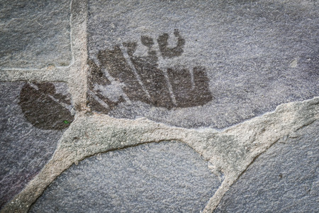 Rustic gray stone textured background with partial foot printの写真素材